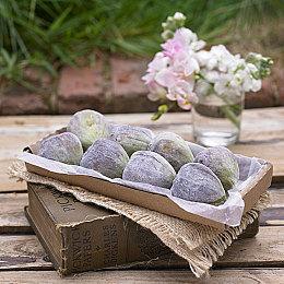 经典名作《扳机之心》Switch版12月14日发售 机神少女复归